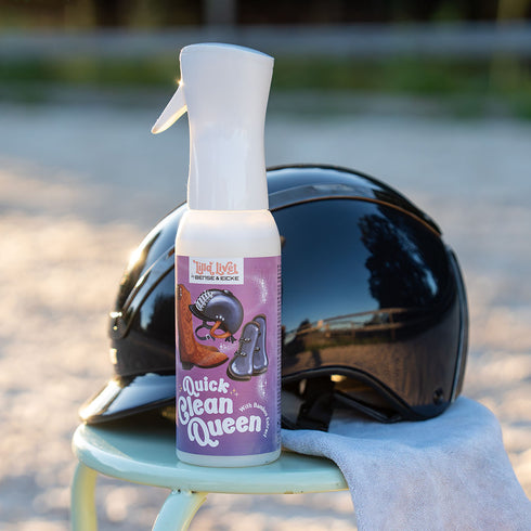 Quick Clean Queen <br>Kunststoff & Lederreiniger